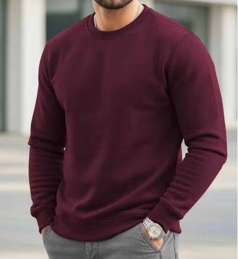 Men Regular Fit Crew-Neck Sweatshirt