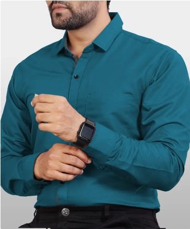 Men Regular Fit Solid Button Down Collar Formal Shirt Green